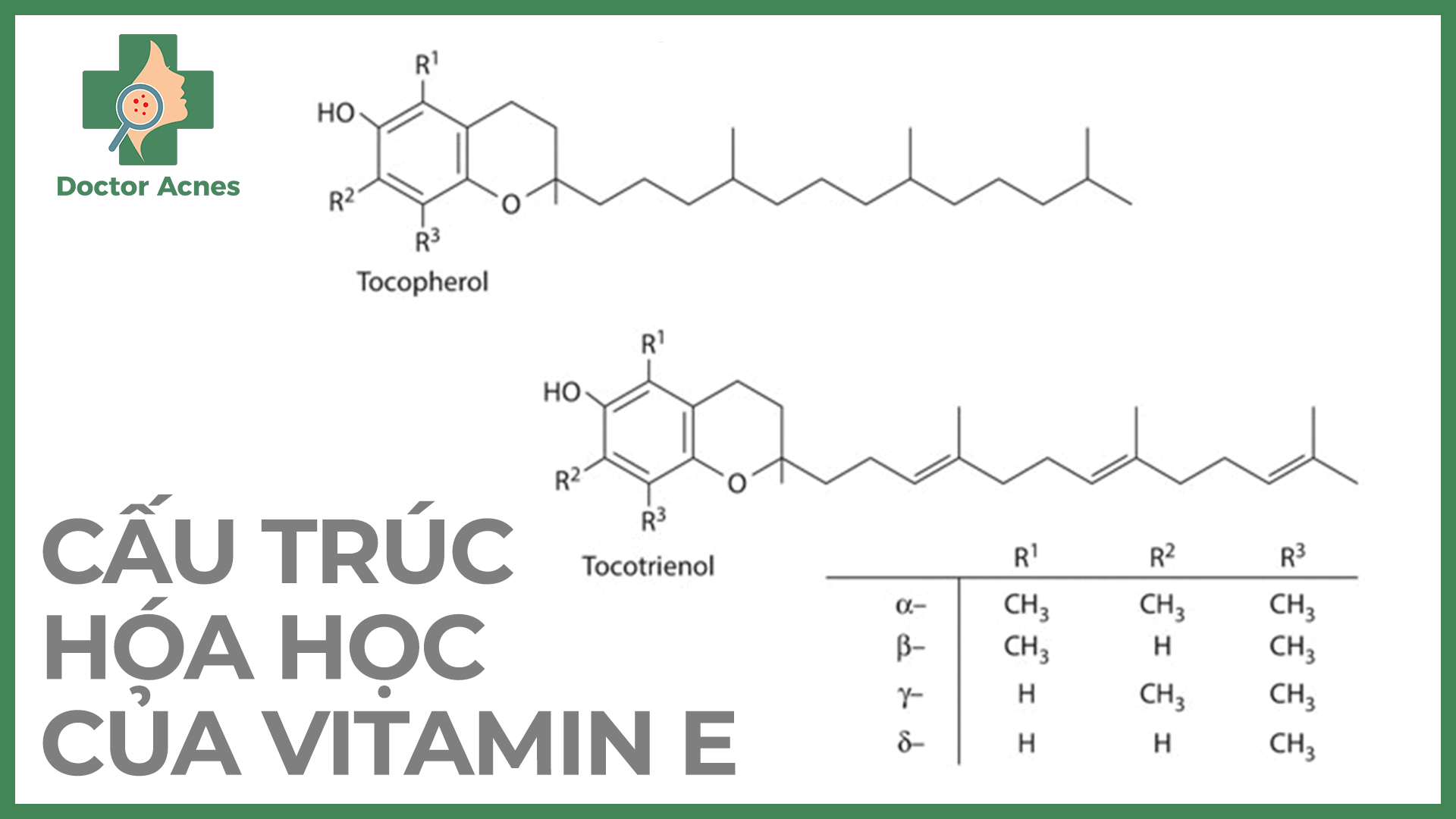 Cấu trúc hóa học của vitamin E - Doctor Acnes