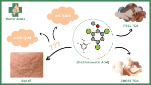 Vai trò TCA trong điều trị sẹo rỗ - Doctor Acnes