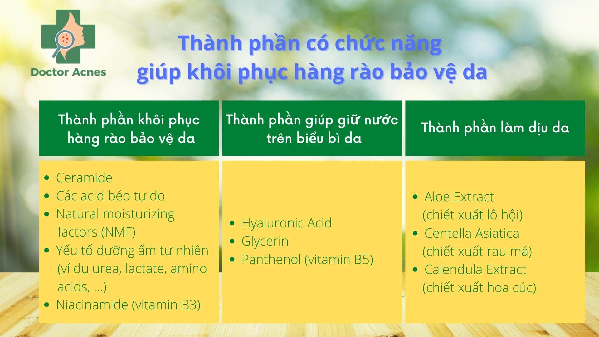 Phục hồi hàng rào bảo vệ da - Doctor Acnes