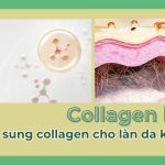 Collagen là gì? Cách bổ sung collagen cho làn da khoẻ đẹp