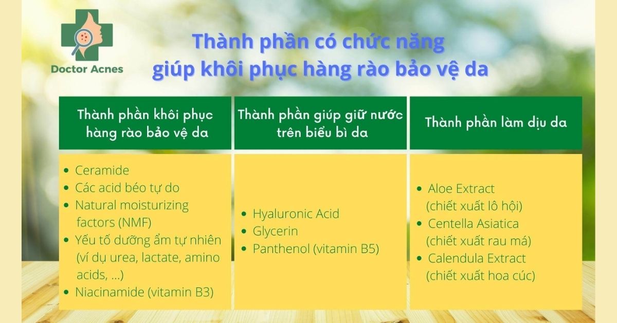 thành phần có chức năng giúp khô phục hàng rào bảo vệ da