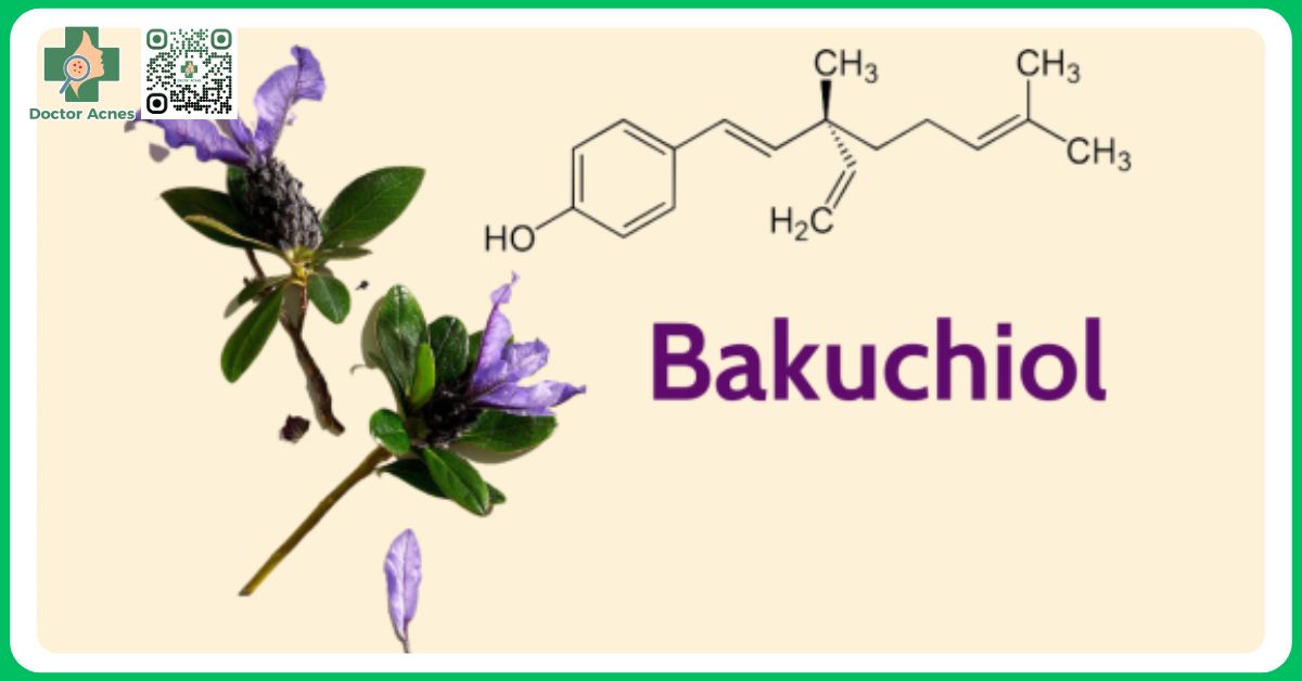 bakuchiol là gì