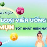 Tổng hợp 7 loại viên uống trị mụn được tin dùng nhất 2025