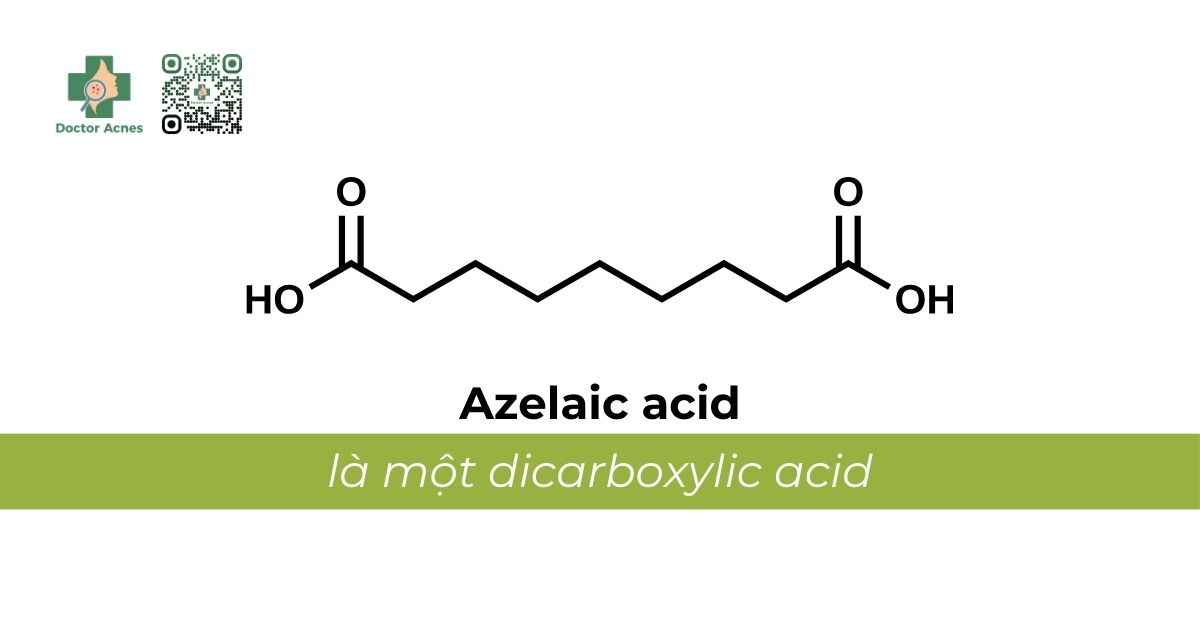 azelaic acid là gì