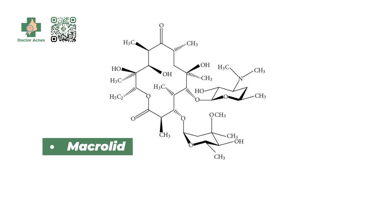 azithromycin là thuốc gì