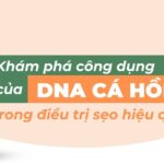 Khám phá công dụng của DNA cá hồi trong điều trị sẹo hiệu quả