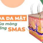 Trẻ hóa da mặt: vai trò của màng đáy và tầng SMAS