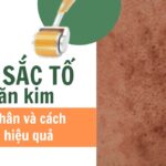 Da bị tăng sắc tố sau lăn kim: nguyên nhân và cách điều trị hiệu quả