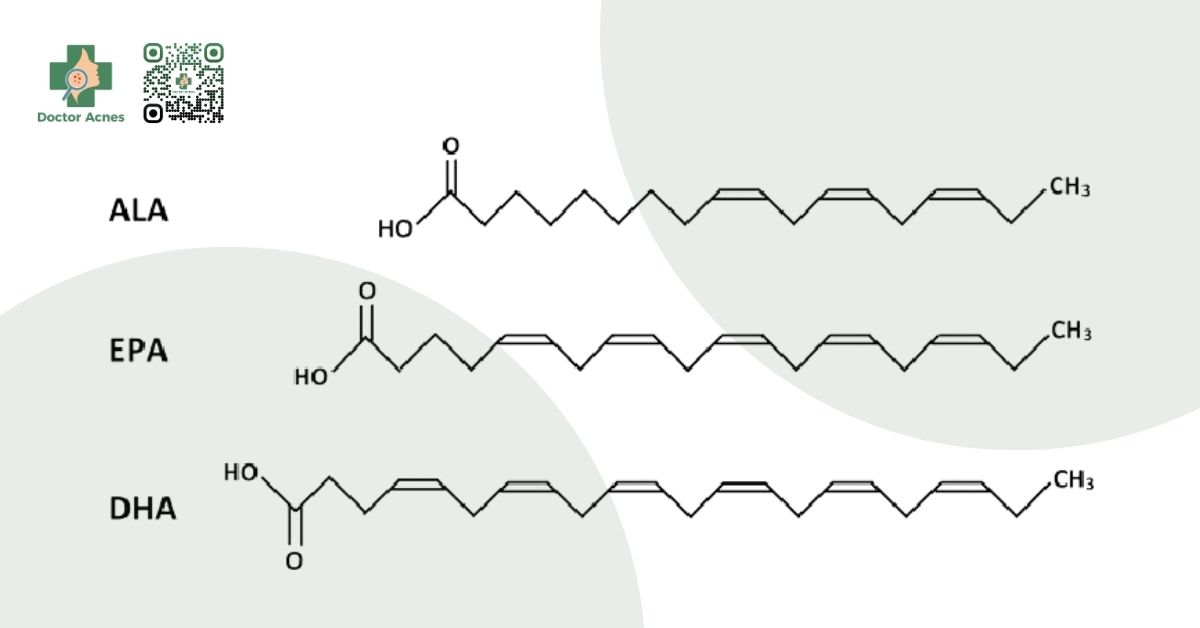 3 loại omega 3 chính