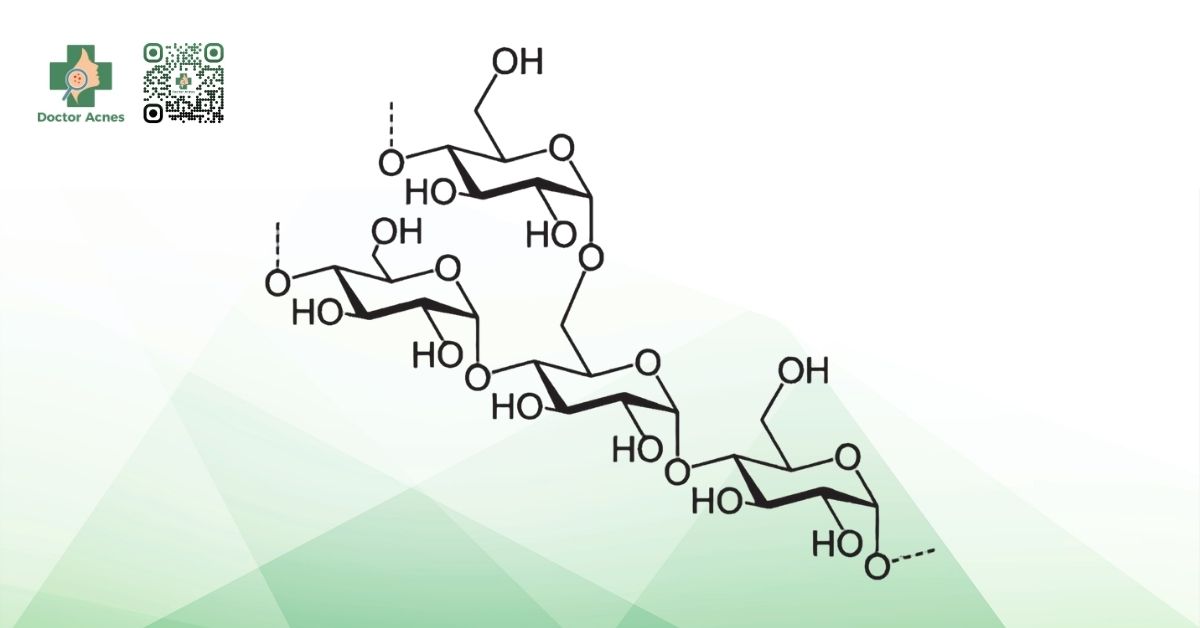 công thức hóa học của amylopectin