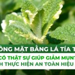 Giải đáp: xông mặt bằng lá tía tô có thật sự giúp giảm mụn?
